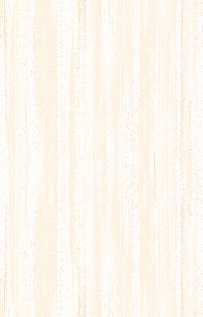 Shorty's BBQ Gallery Photo